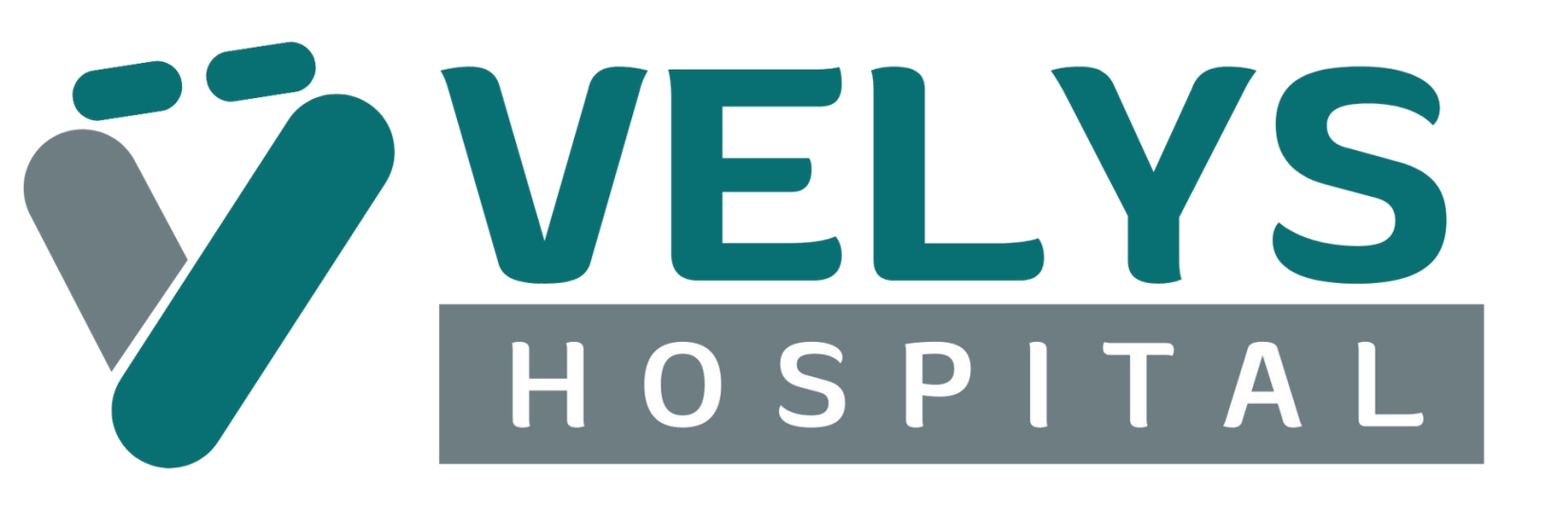 velys digital surgery centre private limited